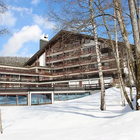 Birkenwald.10 Seefeld in Tirol