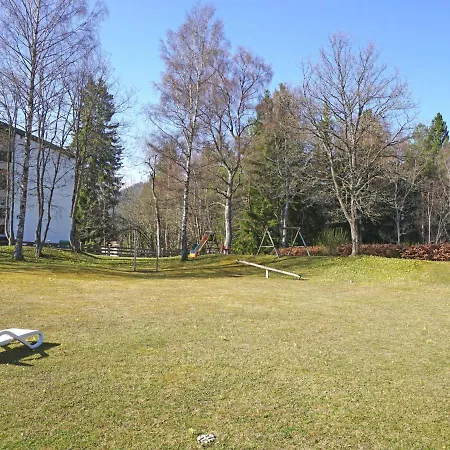Birkenwald.10
