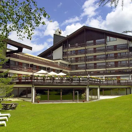 Birkenwald.10 * Seefeld in Tirol